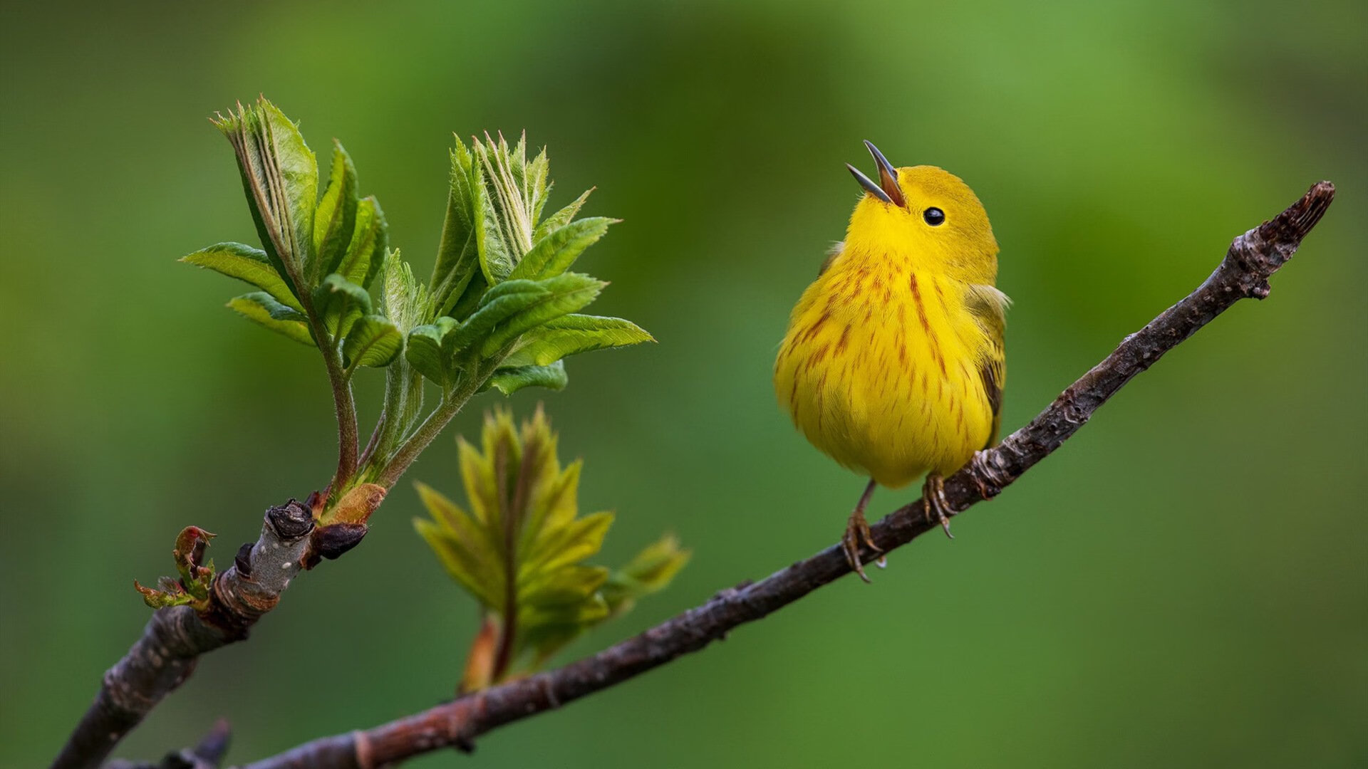 【青训秘籍】培养青少年运动员的核心训练环节,青年运动员怎样进行营养补充