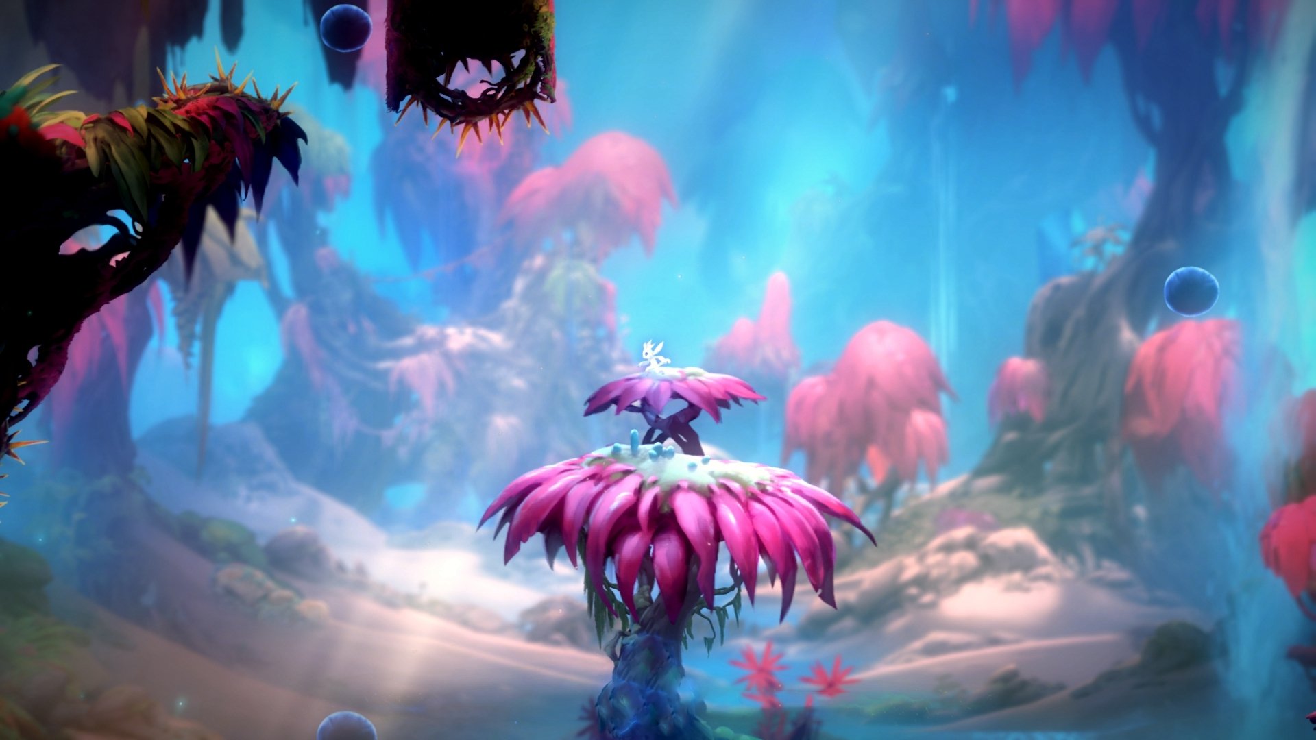 【青训秘籍】培养青少年运动员的核心训练环节,青年运动员怎样进行营养补充