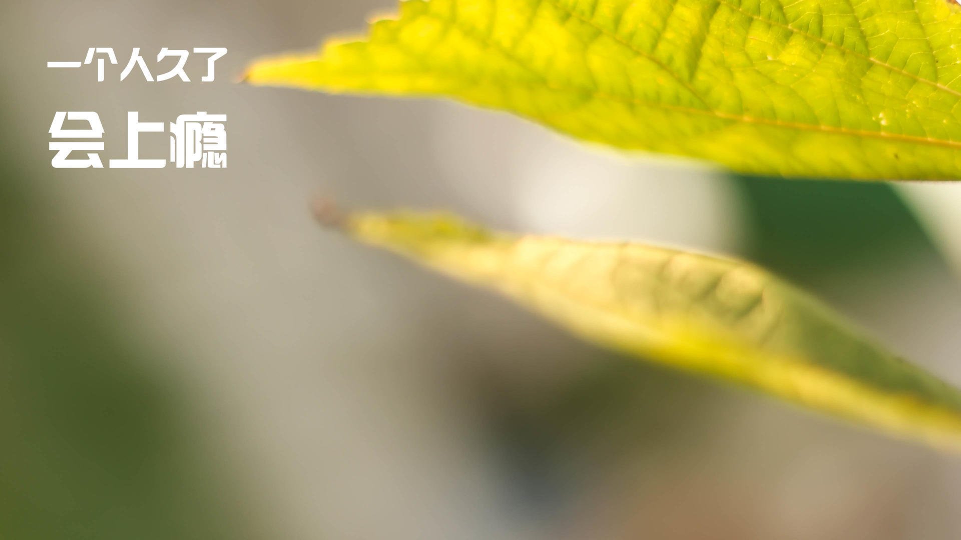 创新战术：未来足球发展的新趋势？，未来的足球可能长什么样