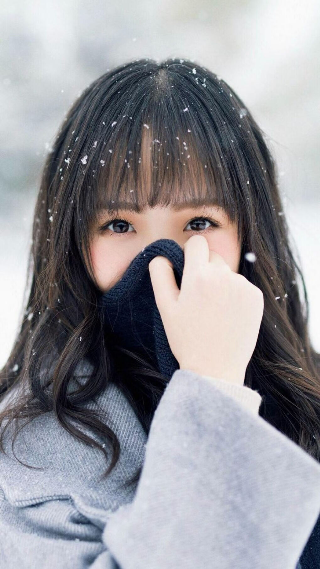 史上最震撼“冠军战役”回忆，激动人心！，冠军的视频