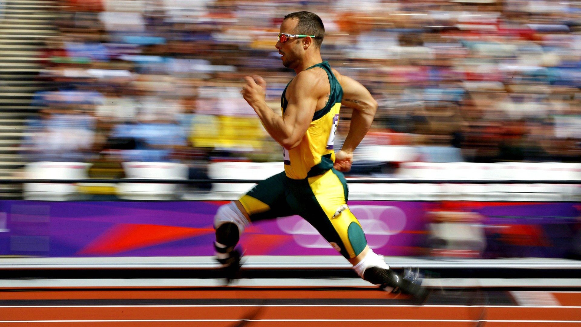 跳水压水线完美南非赢掌声，fina 跳水